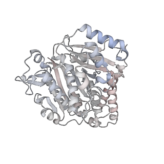 24191_7n61_Cc_v1-1
structure of C2 projections and MIPs