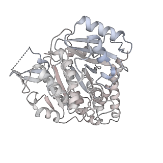 24191_7n61_Cd_v1-1
structure of C2 projections and MIPs