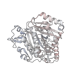 24191_7n61_Ce_v1-1
structure of C2 projections and MIPs