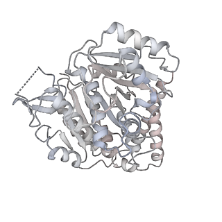 24191_7n61_Cf_v1-1
structure of C2 projections and MIPs