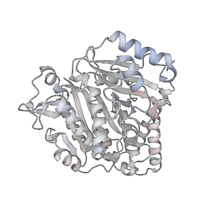 24191_7n61_Cg_v1-1
structure of C2 projections and MIPs