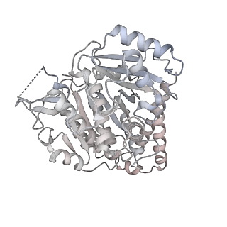 24191_7n61_Ch_v1-1
structure of C2 projections and MIPs