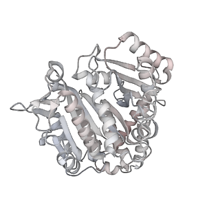 24191_7n61_Da_v1-1
structure of C2 projections and MIPs