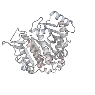 24191_7n61_Db_v1-1
structure of C2 projections and MIPs