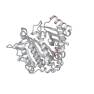 24191_7n61_Dc_v1-1
structure of C2 projections and MIPs