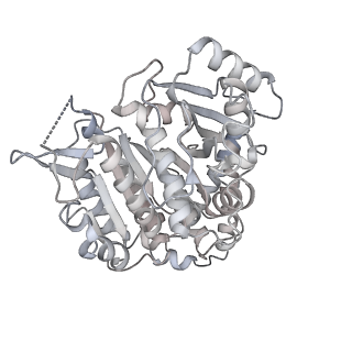 24191_7n61_Dd_v1-1
structure of C2 projections and MIPs