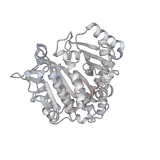 24191_7n61_De_v1-1
structure of C2 projections and MIPs