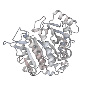 24191_7n61_Df_v1-1
structure of C2 projections and MIPs