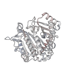 24191_7n61_Dg_v1-1
structure of C2 projections and MIPs