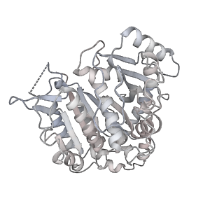 24191_7n61_Dh_v1-1
structure of C2 projections and MIPs