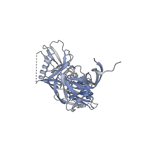 24195_7n65_A_v1-0
Complex structure of HIV superinfection Fab QA013.2 and BG505.SOSIP.664