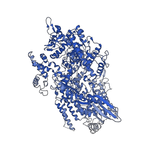 3593_5n61_A_v1-6
RNA polymerase I initially transcribing complex