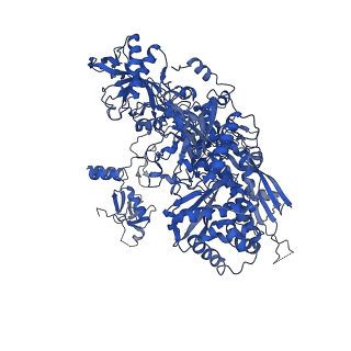 3593_5n61_B_v1-6
RNA polymerase I initially transcribing complex
