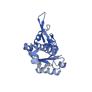 3593_5n61_E_v1-6
RNA polymerase I initially transcribing complex