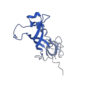 3593_5n61_G_v1-6
RNA polymerase I initially transcribing complex