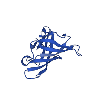 3593_5n61_H_v1-6
RNA polymerase I initially transcribing complex