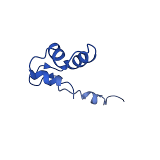 3593_5n61_J_v1-6
RNA polymerase I initially transcribing complex