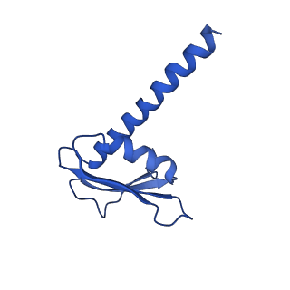 3593_5n61_K_v1-6
RNA polymerase I initially transcribing complex