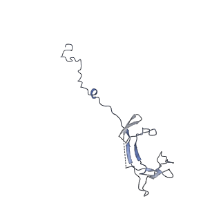 3593_5n61_N_v1-6
RNA polymerase I initially transcribing complex