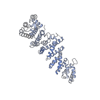 3593_5n61_O_v1-6
RNA polymerase I initially transcribing complex