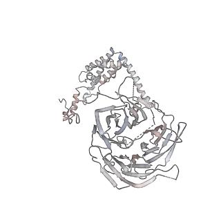 3593_5n61_P_v1-6
RNA polymerase I initially transcribing complex