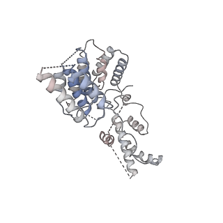 3593_5n61_R_v1-6
RNA polymerase I initially transcribing complex