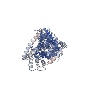 0356_6n7h_A_v1-3
Cryo-EM structure of the 2:1 hPtch1-Shhp complex