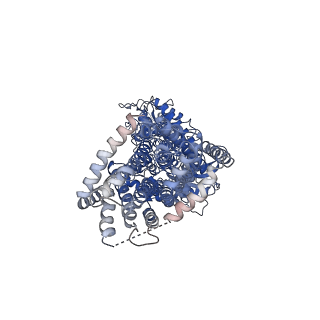 0356_6n7h_A_v2-0
Cryo-EM structure of the 2:1 hPtch1-Shhp complex