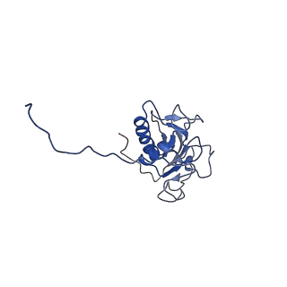 0356_6n7h_C_v1-3
Cryo-EM structure of the 2:1 hPtch1-Shhp complex