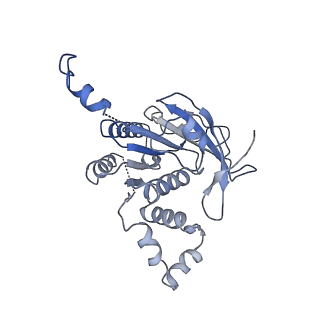 0357_6n7i_A_v1-1
Structure of bacteriophage T7 E343Q mutant gp4 helicase-primase in complex with ssDNA, dTTP, AC dinucleotide and CTP (gp4(5)-DNA)