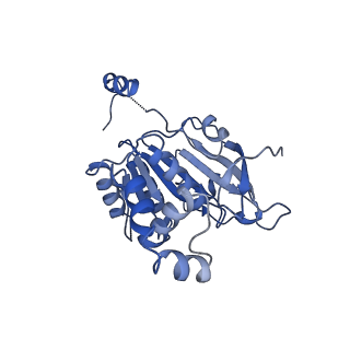 0357_6n7i_B_v1-1
Structure of bacteriophage T7 E343Q mutant gp4 helicase-primase in complex with ssDNA, dTTP, AC dinucleotide and CTP (gp4(5)-DNA)