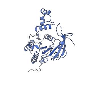 0357_6n7i_D_v1-1
Structure of bacteriophage T7 E343Q mutant gp4 helicase-primase in complex with ssDNA, dTTP, AC dinucleotide and CTP (gp4(5)-DNA)