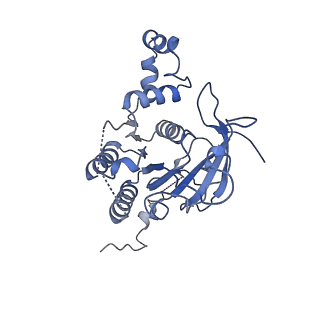 0357_6n7i_D_v1-2
Structure of bacteriophage T7 E343Q mutant gp4 helicase-primase in complex with ssDNA, dTTP, AC dinucleotide and CTP (gp4(5)-DNA)