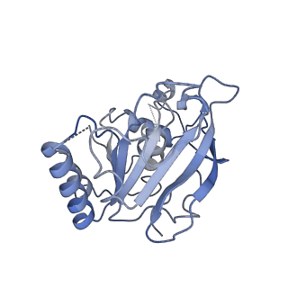 0357_6n7i_E_v1-1
Structure of bacteriophage T7 E343Q mutant gp4 helicase-primase in complex with ssDNA, dTTP, AC dinucleotide and CTP (gp4(5)-DNA)