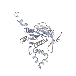 0359_6n7n_A_v1-1
Structure of bacteriophage T7 E343Q mutant gp4 helicase-primase in complex with ssDNA, dTTP, AC dinucleotide and CTP (form I)