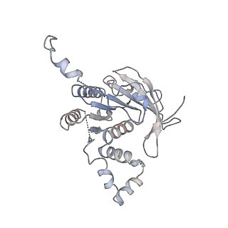 0359_6n7n_A_v1-2
Structure of bacteriophage T7 E343Q mutant gp4 helicase-primase in complex with ssDNA, dTTP, AC dinucleotide and CTP (form I)