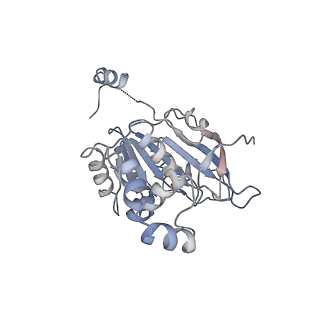 0359_6n7n_B_v1-1
Structure of bacteriophage T7 E343Q mutant gp4 helicase-primase in complex with ssDNA, dTTP, AC dinucleotide and CTP (form I)