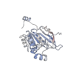 0359_6n7n_B_v1-2
Structure of bacteriophage T7 E343Q mutant gp4 helicase-primase in complex with ssDNA, dTTP, AC dinucleotide and CTP (form I)