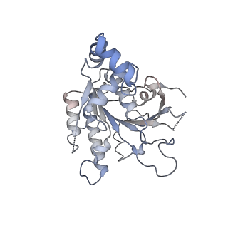 0359_6n7n_C_v1-1
Structure of bacteriophage T7 E343Q mutant gp4 helicase-primase in complex with ssDNA, dTTP, AC dinucleotide and CTP (form I)