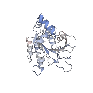 0359_6n7n_C_v1-2
Structure of bacteriophage T7 E343Q mutant gp4 helicase-primase in complex with ssDNA, dTTP, AC dinucleotide and CTP (form I)