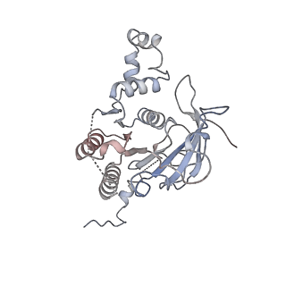 0359_6n7n_D_v1-2
Structure of bacteriophage T7 E343Q mutant gp4 helicase-primase in complex with ssDNA, dTTP, AC dinucleotide and CTP (form I)