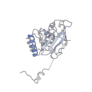 0359_6n7n_E_v1-1
Structure of bacteriophage T7 E343Q mutant gp4 helicase-primase in complex with ssDNA, dTTP, AC dinucleotide and CTP (form I)