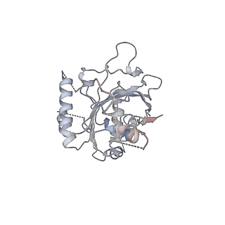 0359_6n7n_F_v1-1
Structure of bacteriophage T7 E343Q mutant gp4 helicase-primase in complex with ssDNA, dTTP, AC dinucleotide and CTP (form I)