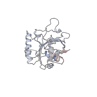 0359_6n7n_F_v1-2
Structure of bacteriophage T7 E343Q mutant gp4 helicase-primase in complex with ssDNA, dTTP, AC dinucleotide and CTP (form I)