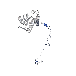 0360_6n7p_A_v1-2
S. cerevisiae spliceosomal E complex (UBC4)