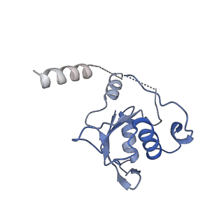 0360_6n7p_C_v1-2
S. cerevisiae spliceosomal E complex (UBC4)