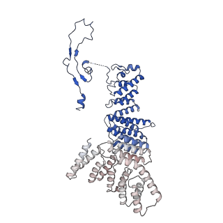 0360_6n7p_E_v1-3
S. cerevisiae spliceosomal E complex (UBC4)