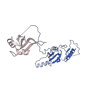 0360_6n7p_F_v1-2
S. cerevisiae spliceosomal E complex (UBC4)