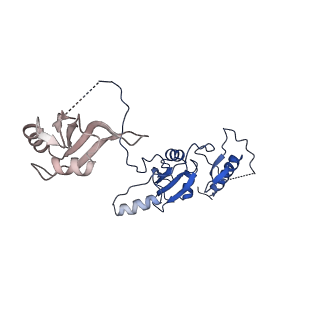 0360_6n7p_F_v1-3
S. cerevisiae spliceosomal E complex (UBC4)