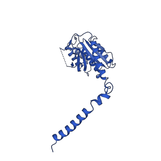 0360_6n7p_G_v1-2
S. cerevisiae spliceosomal E complex (UBC4)